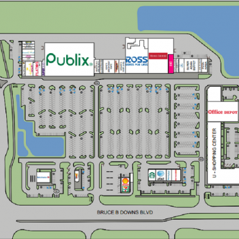 Plan of mall The Shoppes at New Tampa